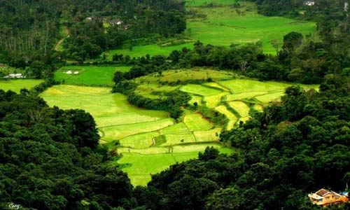 Ooty to Coorg Cab Service